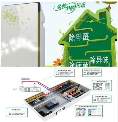新裝修的辦公室味道大，怎么辦？