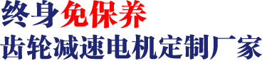 17年專注齒輪減速馬達(dá)、調(diào)速電機研發(fā)、生產(chǎn)